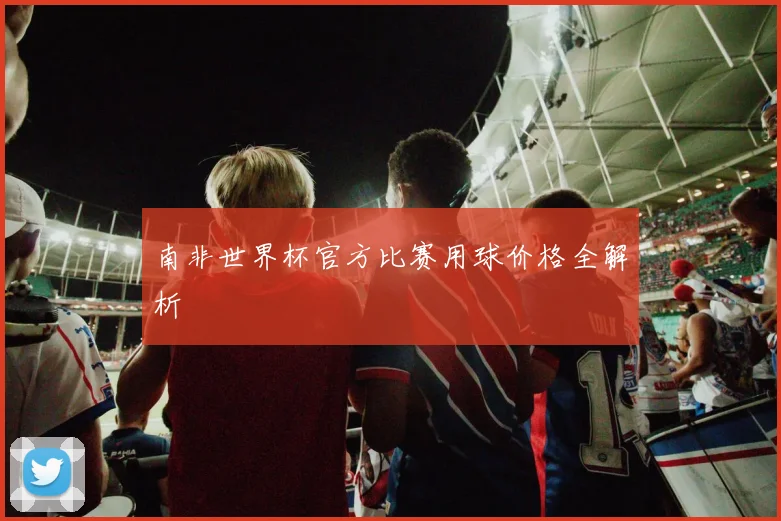 南非世界杯官方比赛用球价格全解析