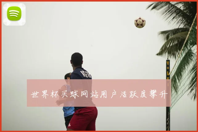 世界杯买球网站用户活跃度攀升