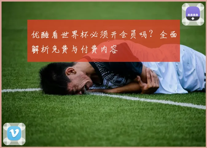 优酷看世界杯必须开会员吗？全面解析免费与付费内容
