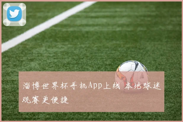 淄博世界杯手机App上线 本地球迷观赛更便捷