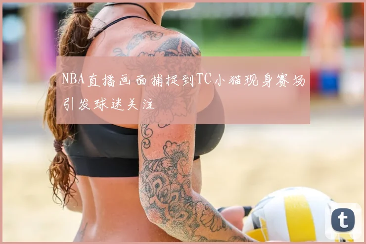 NBA直播画面捕捉到TC小猫现身赛场引发球迷关注