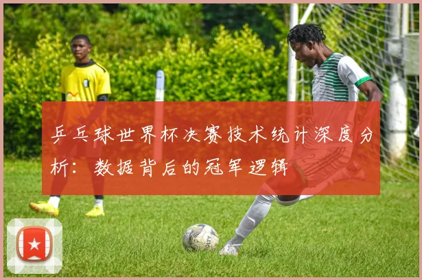 乒乓球世界杯决赛技术统计深度分析:数据背后的冠军逻辑