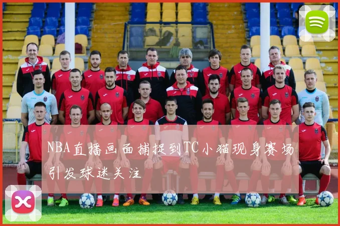 NBA直播画面捕捉到TC小猫现身赛场引发球迷关注